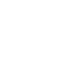 Lightning Bolt
